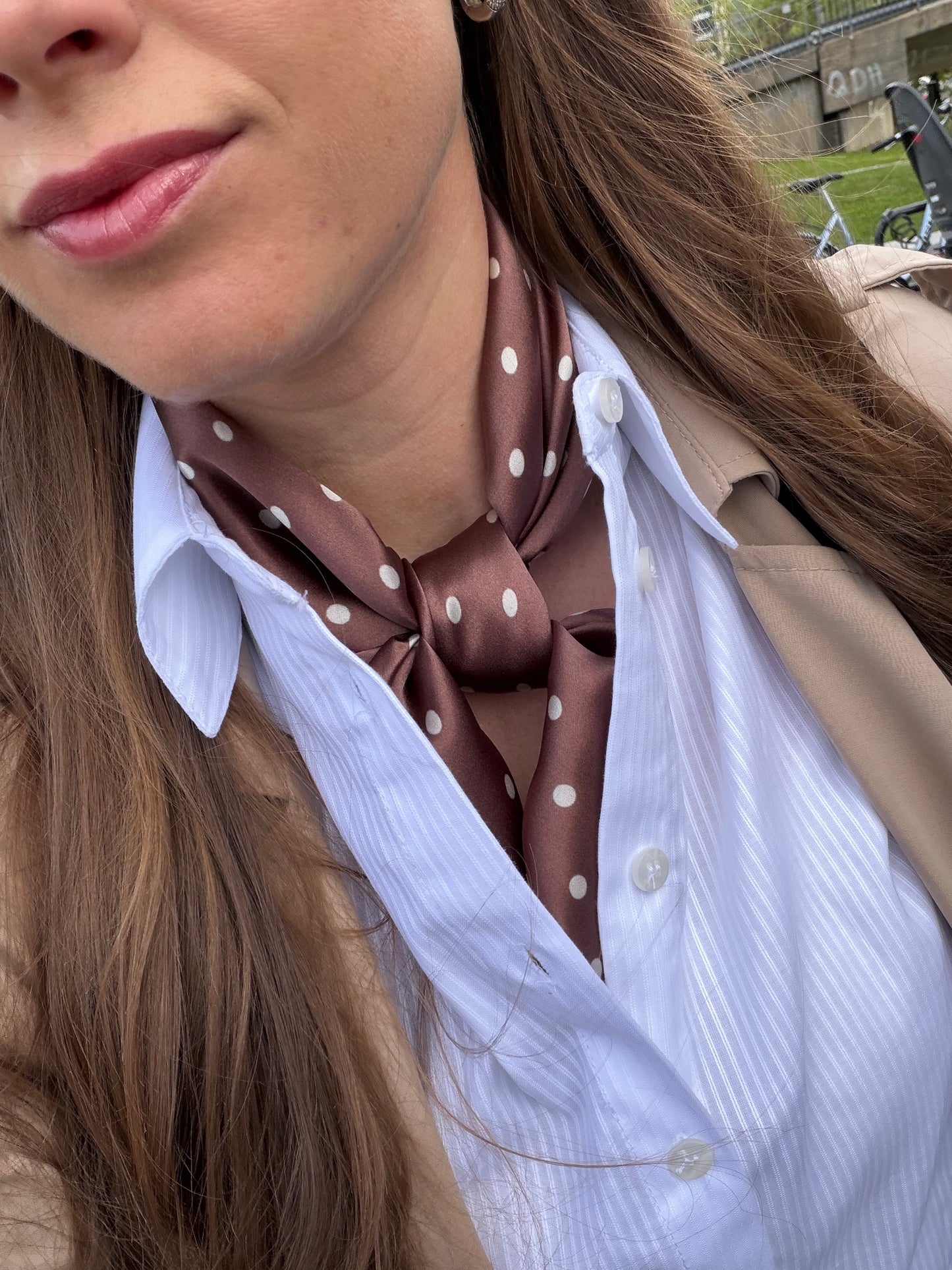 Polkadot brown